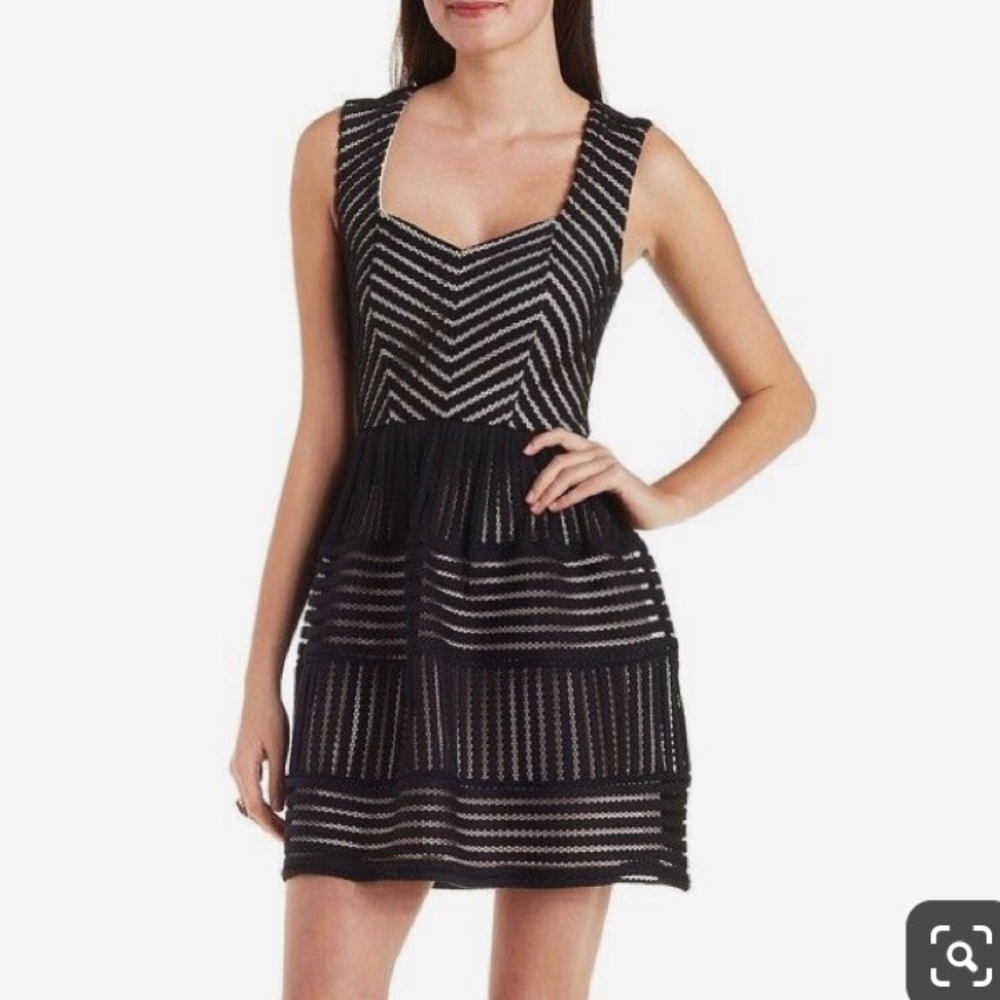 Charlotte Russe black pink mesh lace skater dress
